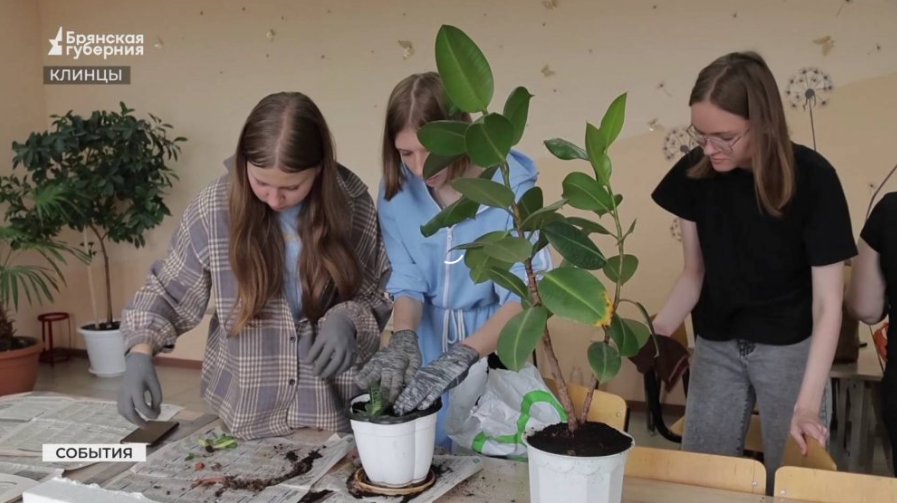 Учащиеся клинцовских школ участвуют в программе трудоустройства