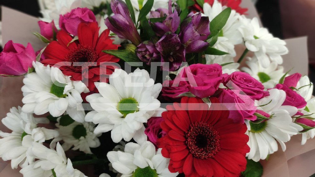 Губернатор Богомаз поздравил награжденных госнаградами брянцев