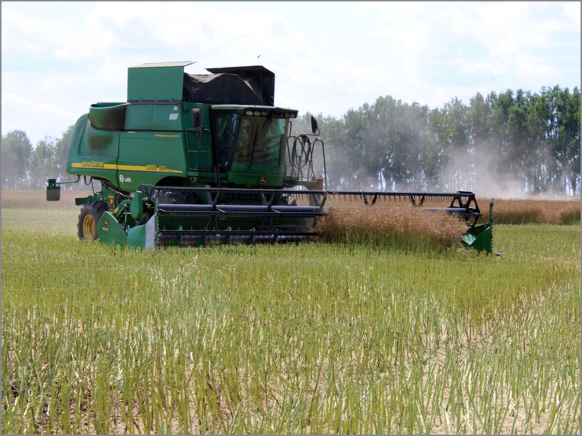 В Стародубском округе хорошими темпами идет уборка рапса