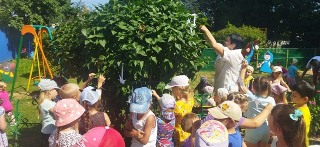 В дошкольной группе МБОУ Дубровской №1 СОШ им. генерал-майора Никитина И. С.  прошла Акция «Журавль памяти»