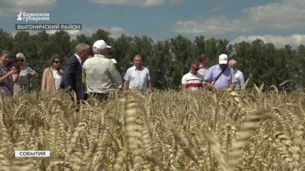 В город Брянск с рабочим визитом прибыли гости из Приморского края