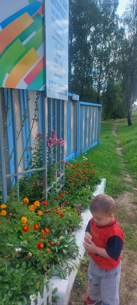 Воспитанники Дубровского детского дома-интерната совершили увлекательную прогулку