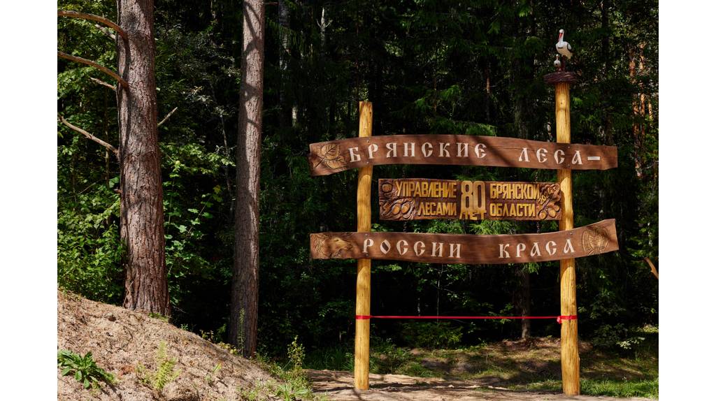 Панно «Брянские леса – России краса» установили в Брянском районе