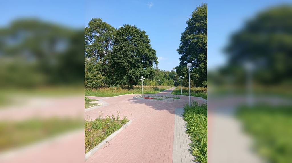 В Дятькове Брянской области продолжается благоустройство городского парка