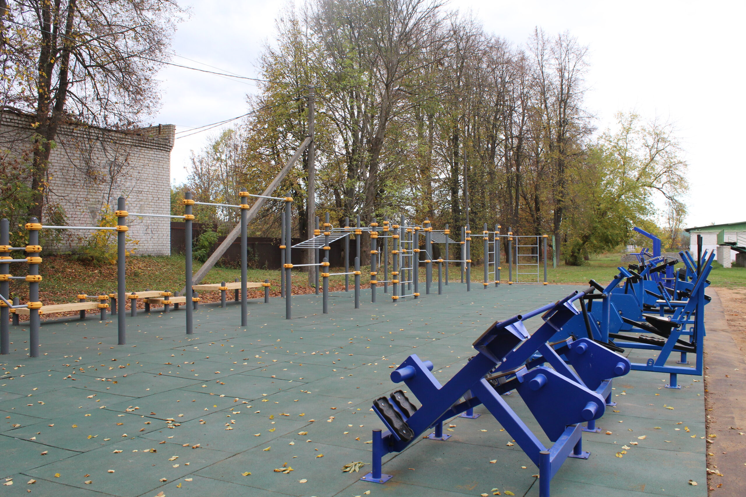 В Дубровском районе сдают нормы ГТО