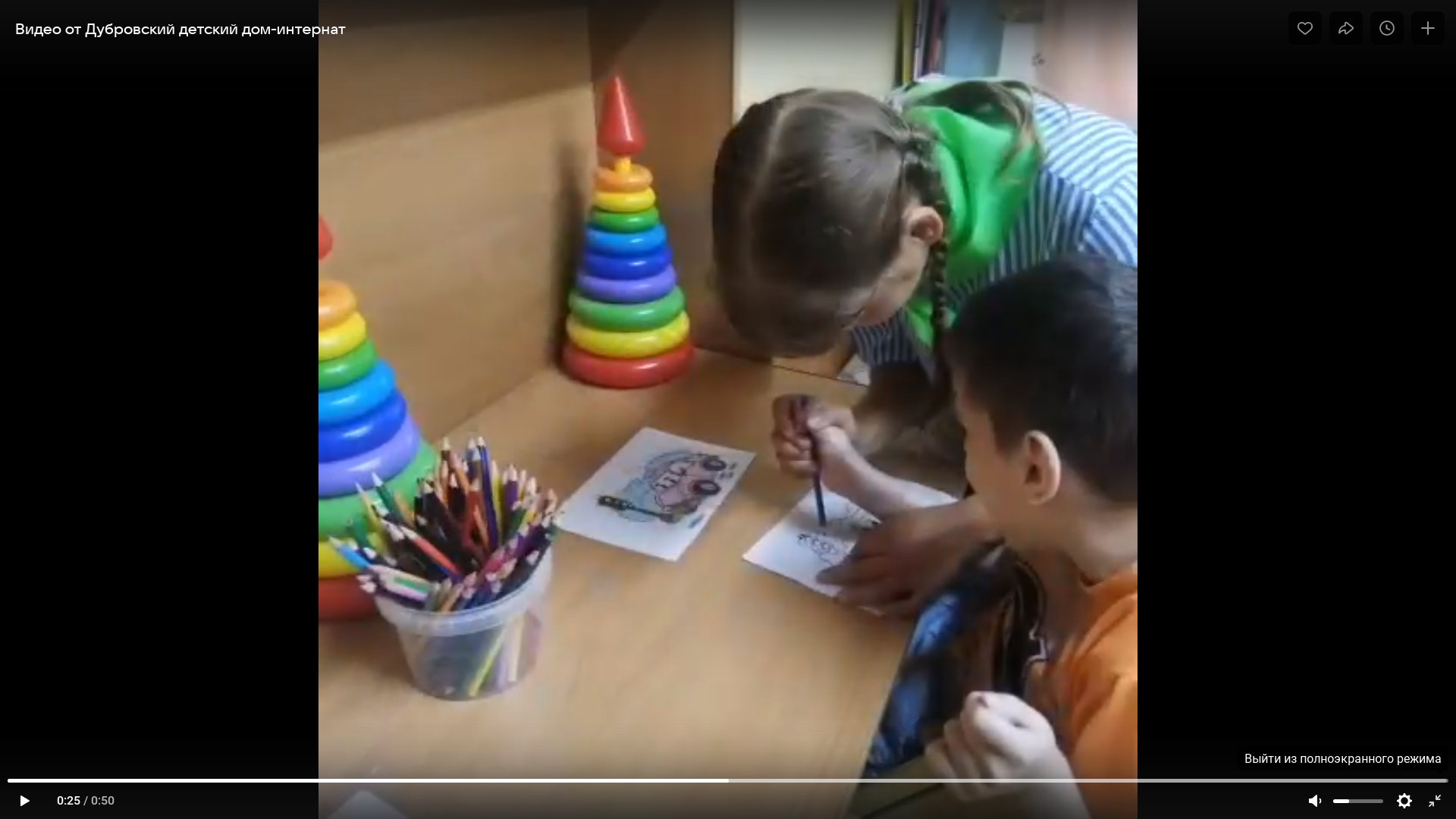 Волонтеры посетили Дубровский детский дом-интернат