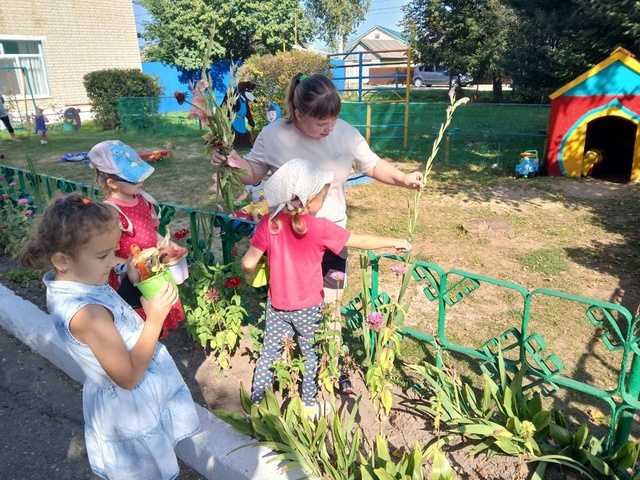 Воспитанники МБОУ Дубровской № 1 СОШ собрали семена цветов