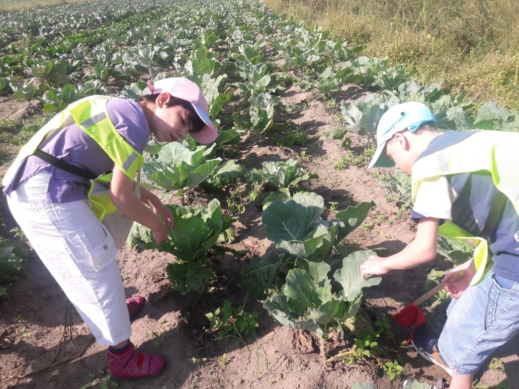 Для воспитанников Дубровского детского дома-интерната состоялось мероприятие «Признаки уходящего лета»