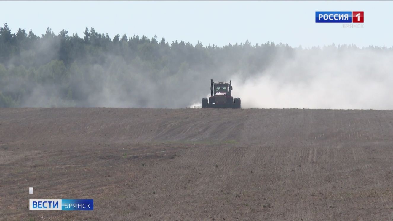 Аграрии Брянщины готовят почву к зиме