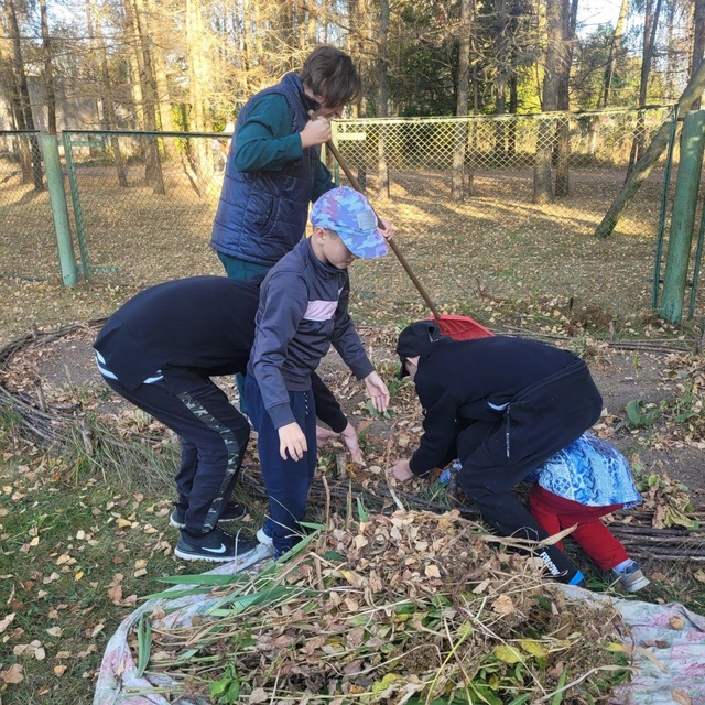 Воспитанники ГБУ КЦСОН Дубровского района подготовили клумбы к зиме