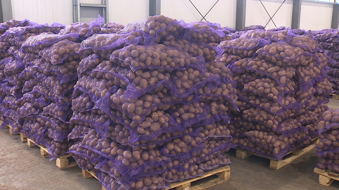 Брянская область оказала помощь Приморскому краю