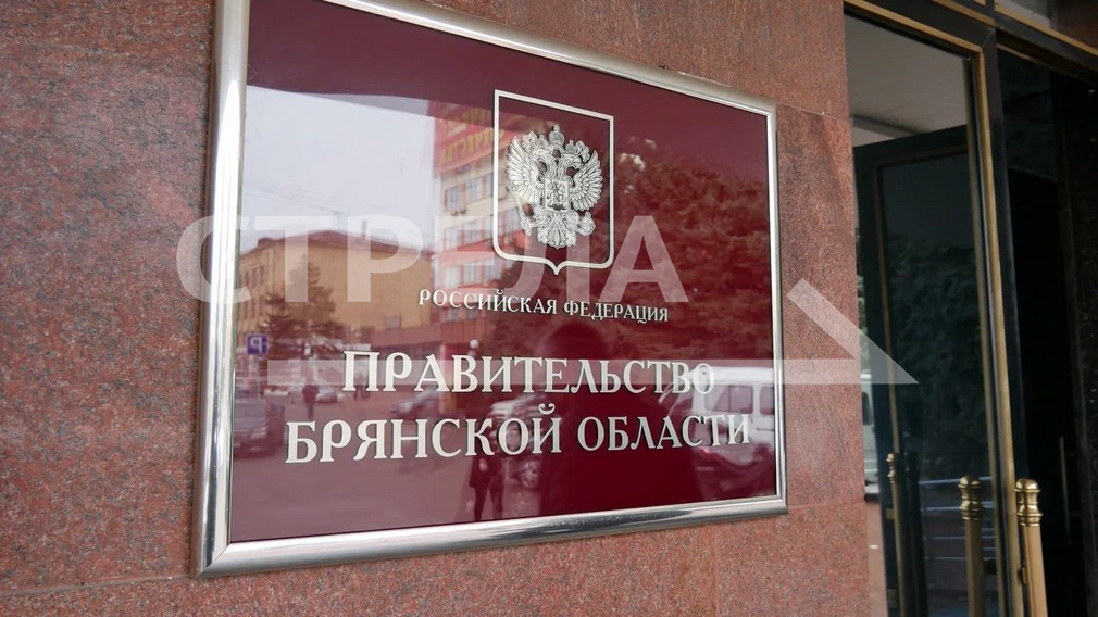 Меры поддержки многодетных семей реализуются в Брянской области