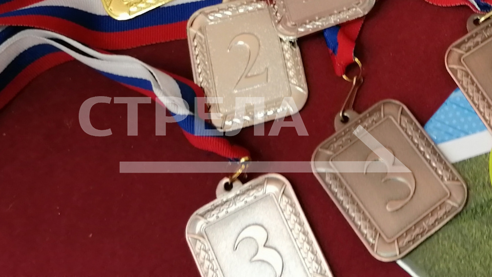 Брянский спортсмен завоевал бронзу на Кубке России по самбо