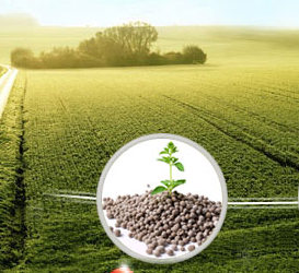 Итоги 6 месяцев реализации нацпроекта «Производительность труда» подвели на брянском предприятии