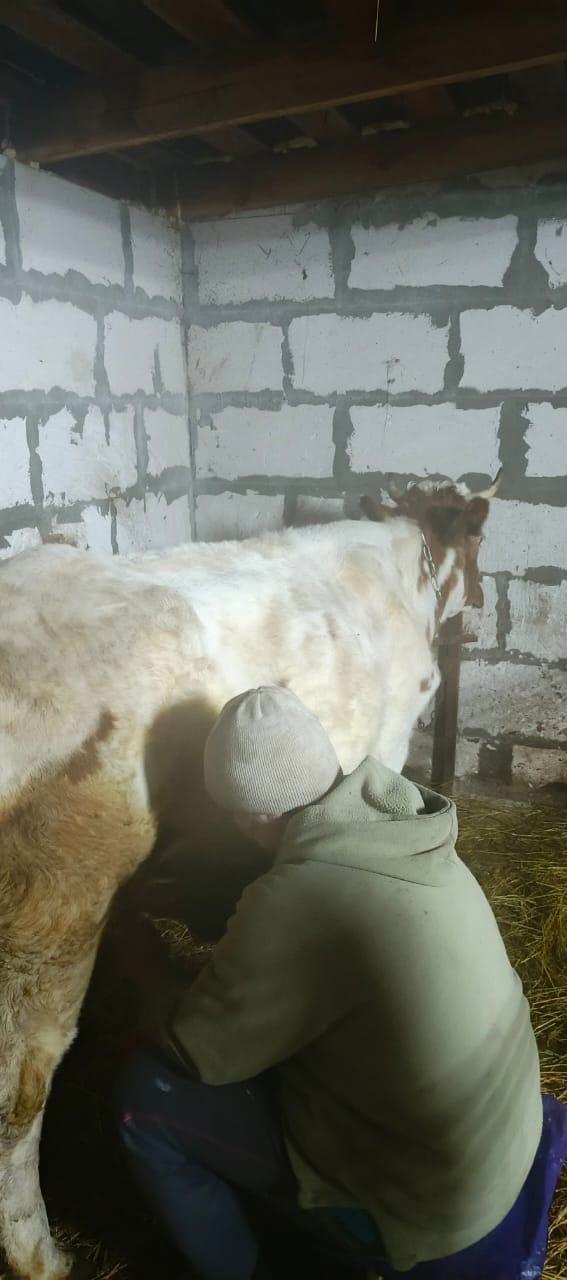 Семье из Дубровского района оказали государственную соцпомощь на основании соцконтракта