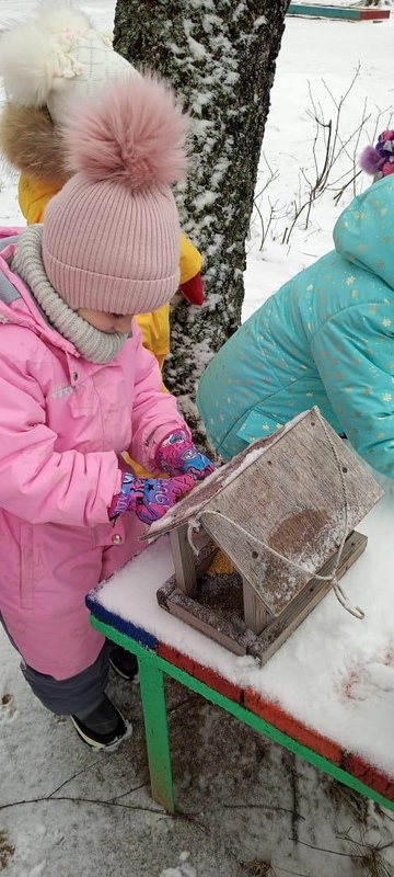 Воспитанники Дубровского детского сада №2 проявляют заботу о птичках