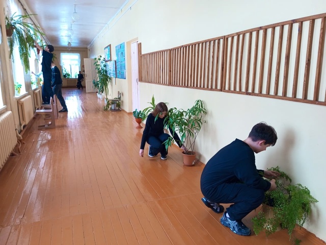 Учащиеся Рябчинской СОШ приняли участие в акции «Зеленая школа»