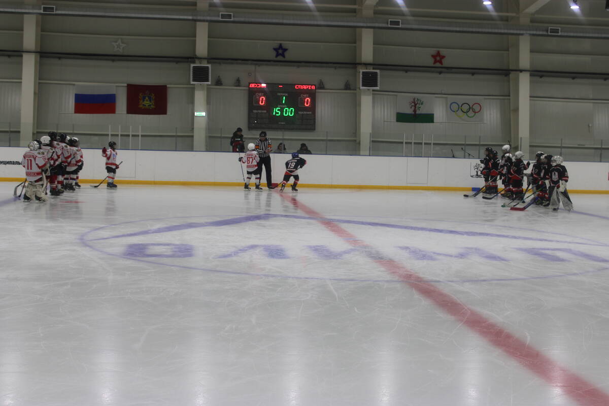 В Стародубе проводятся заключительные матчи «Золотой шайбы»