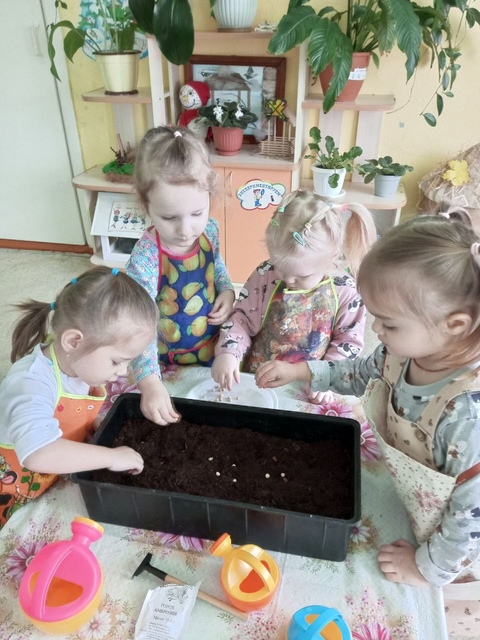 Воспитанники Дубровского детского сада № 2 приняли участие в посадке огорода на подоконнике