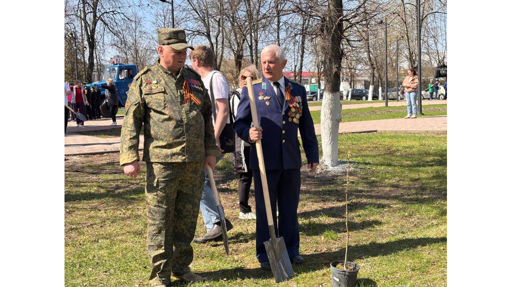 В сквере Ленина в Брянске высадили рябиновую аллею