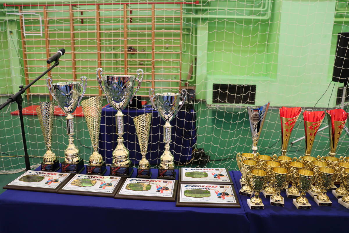 В Стародубе Брянщины проходит открытое первенство округа по самбо