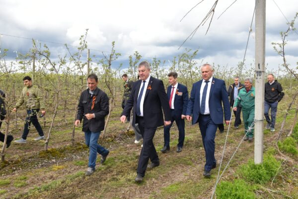 170 саженцев вишни высадили в Клетнянском районе