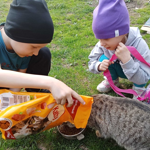 В Дубровском детском саду №4 прошла акция «Покорми животное-сделай доброе дело!»