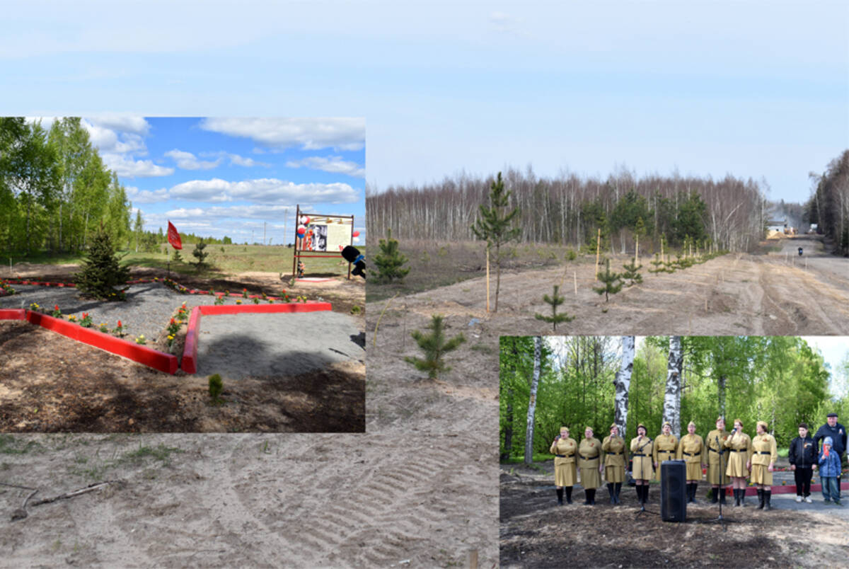 Аллея памяти появилась в Клетнянском районе