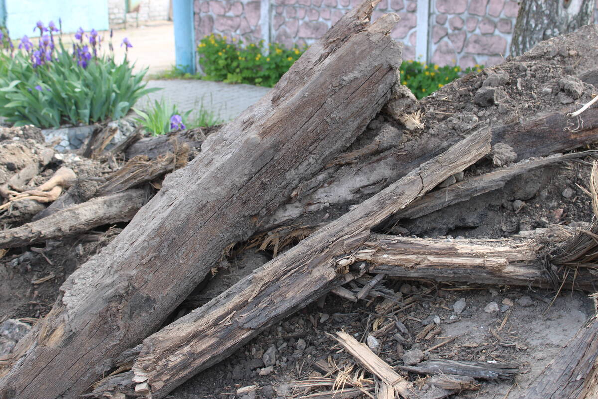 В Стародубе обнаружили предметы старины при проведении строительных работ