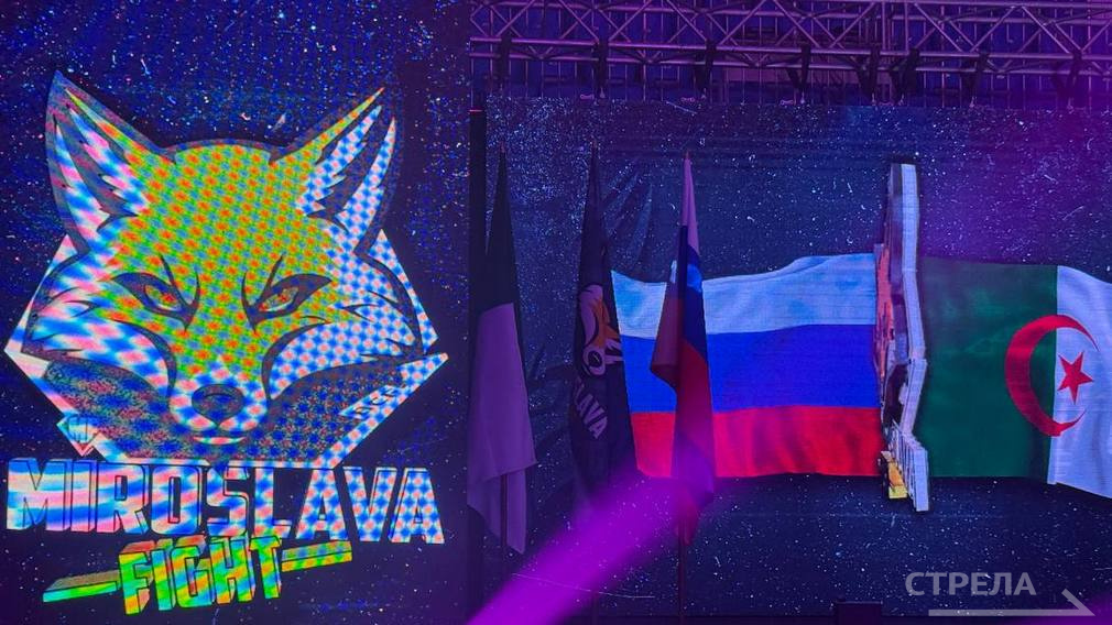 В Брянске проходит межконтинентальный турнир по смешанным единоборствам