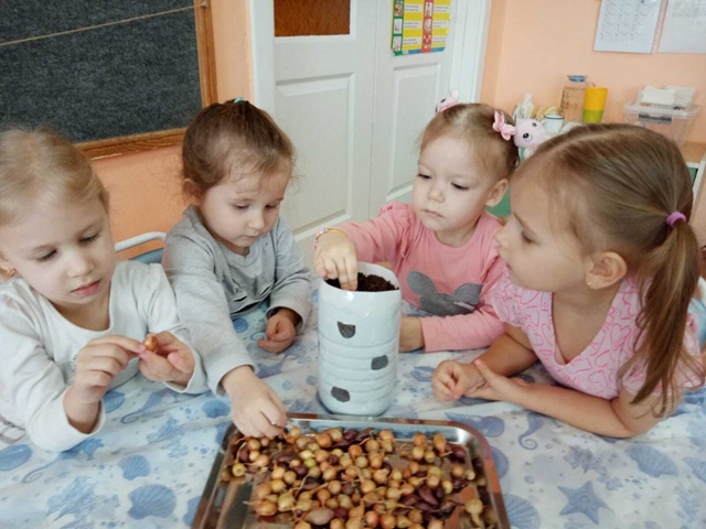 Воспитанники Дубровского детского сада №4 посадили семена