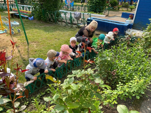 Для воспитанников Дубровской № 1 СОШ прошли мероприятия «Мир растений»