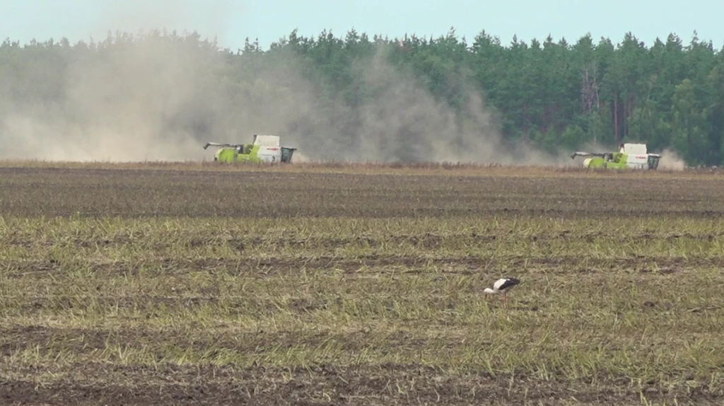 В Брянской области прошёл областной семинар по сельскому хозяйству