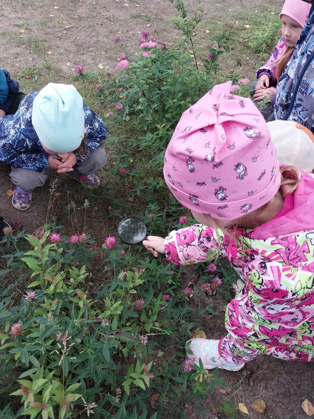 Воспитанники Дубровского детскоого сада №2 проходит наблюдение за насекомыми на участке во время прогулки
