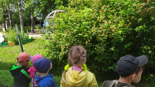 Для воспитанников Дубровского детского сада № 2 прошло занятие по наблюдению за деревьями и кустарниками