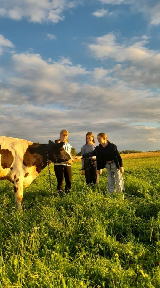 Жительница Дубровского района благодаря соцконтракту приобрела корову