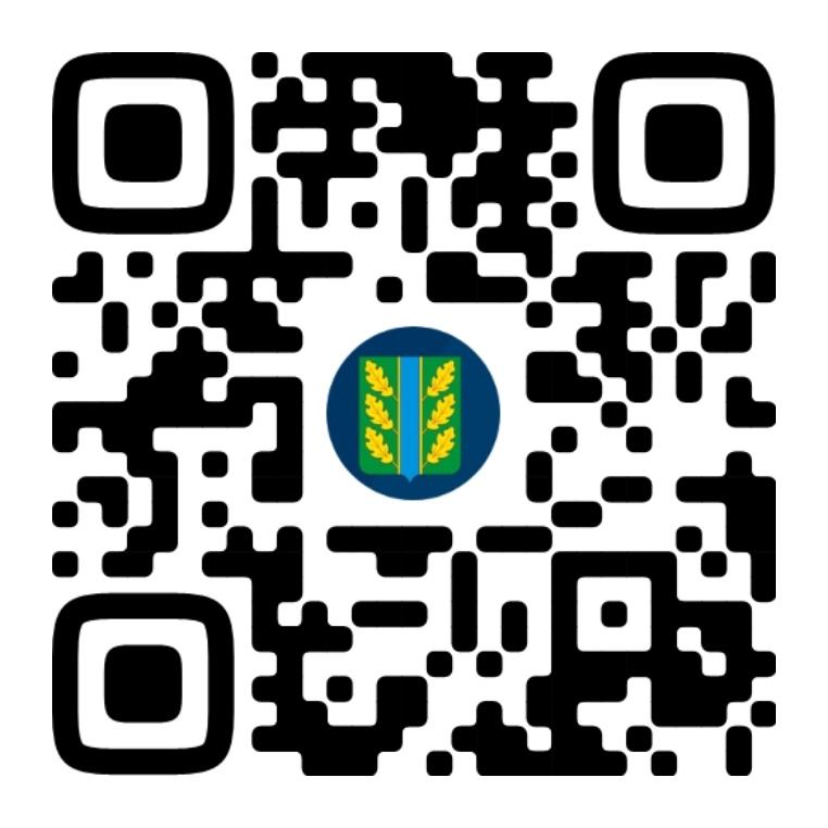 Госпаблики: удобно, полезно, надёжно