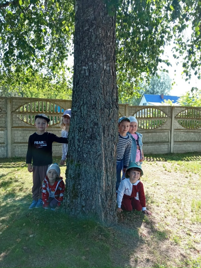 Для воспитанников Дубровского детского сада № 4 прошло занятие, посвященное дереву береза