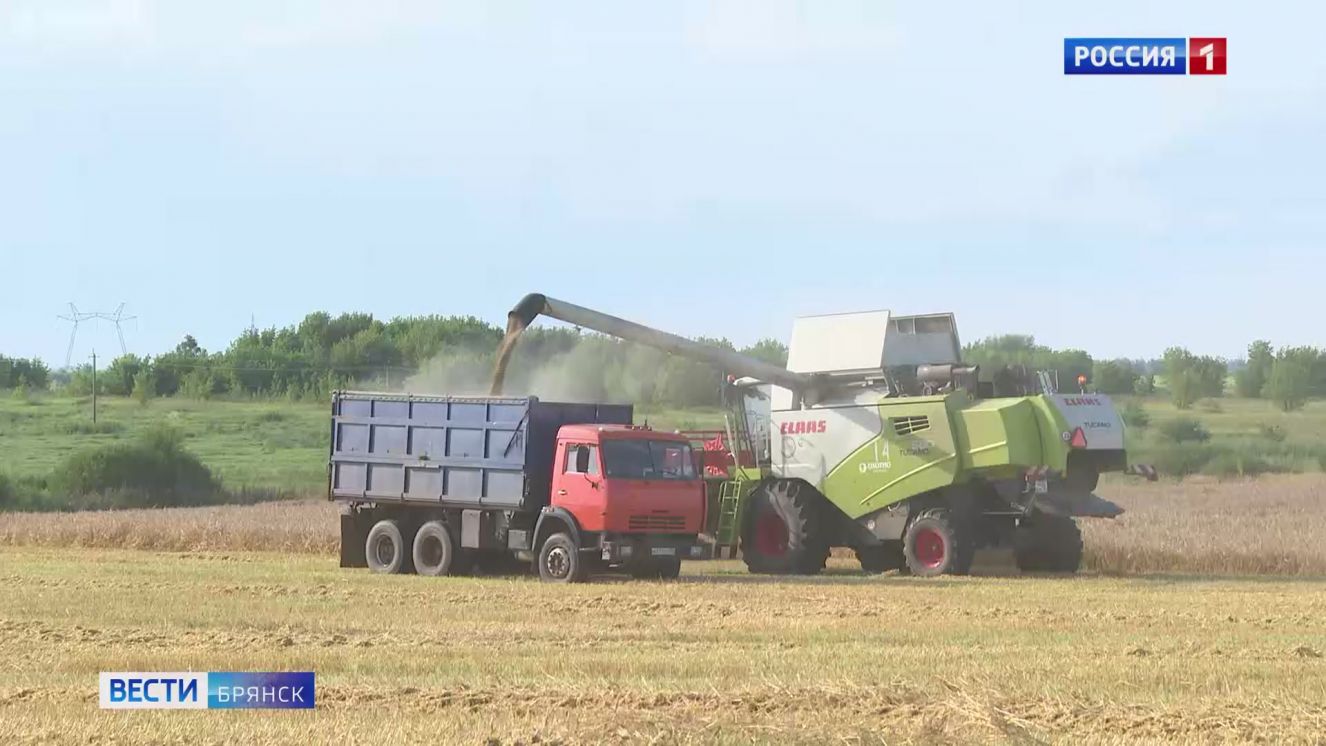 Брянские аграрии завершили уборку зерновых и зернобобовых культур