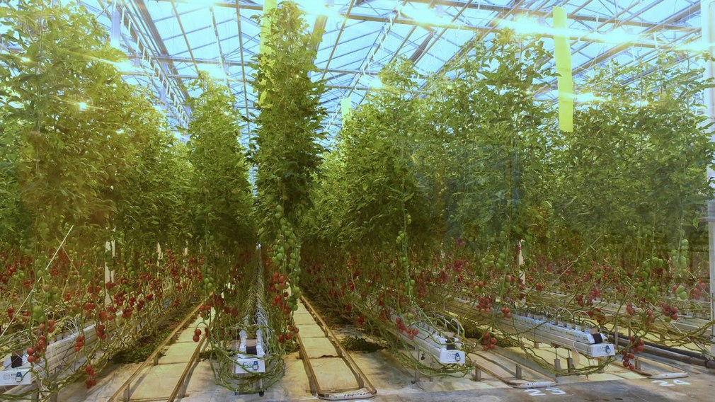 В Брянском районе благоустраивают дворы и общественные пространства