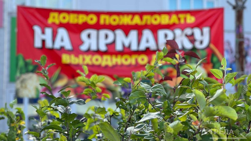 Во всех районах Брянска продолжают работу ярмарки выходного дня