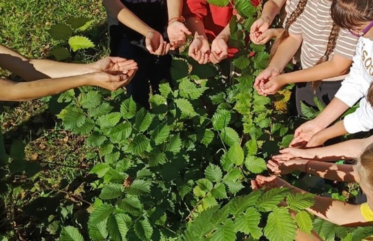 Работники Пеклинского СДК приняли участие во Всероссийской акции «Капля жизни»