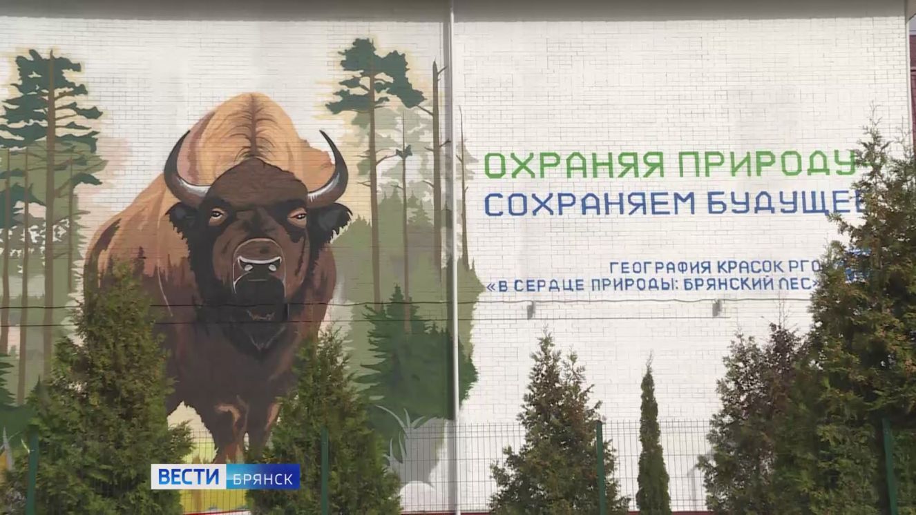 Мурал с заповедным зубром появился на здании школы №59 в Брянске