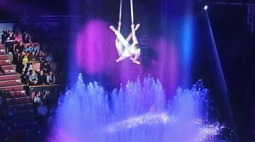 Учащиеся Дубровской № 1 СОШ посетили цирковое представление «Шоу огня, воды и света»