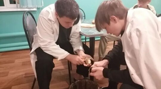 Воспитанники ГБУ КЦСОН Дубровского района познакомились с историей картофеля