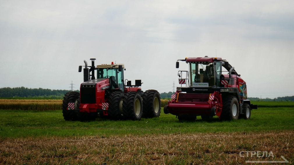 В хозяйствах Брянщины собрали рекордные объемы зерновых, картофеля и масличных культур