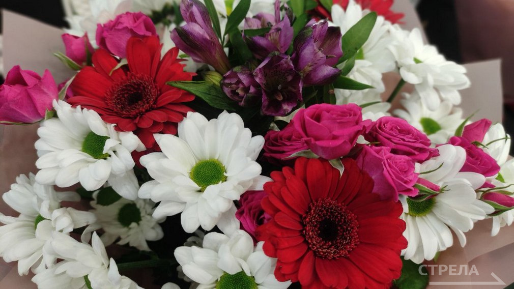 Александр Богомаз поздравил двух землячек с высокими госнаградами