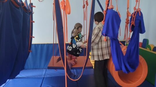 Воспитанники ГБУ КЦСОН Дубровского района посещают «Дом Совы»