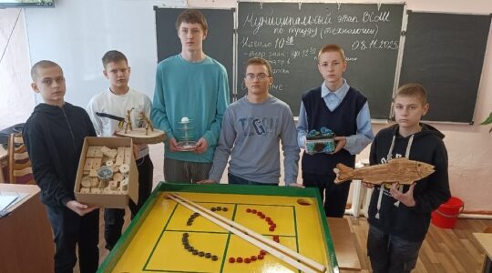 На базе Дубровской № 1 СОШ прошел этап олимпиады по труду