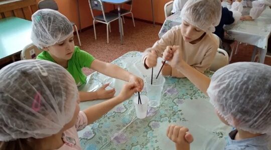 Воспитанники Дубровского детского сада № 4 приняли участие в исследованиях